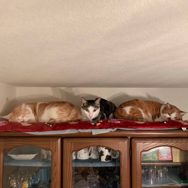 E9915bd8 700c 49ed 8664 6fceb19bcbc3 1579615048531