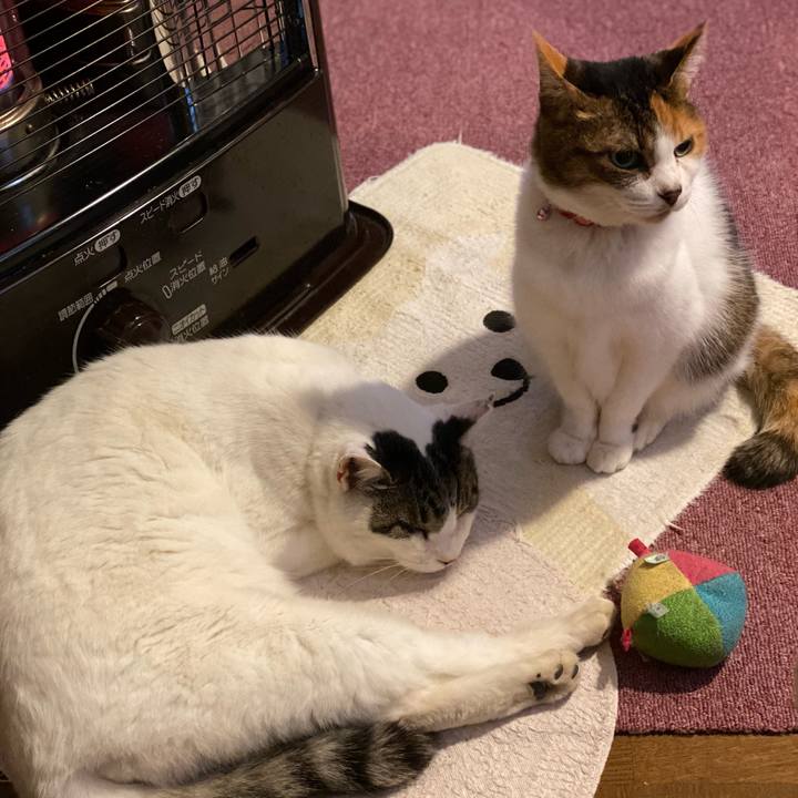 E9917ad1 ecfa 4446 b4e8 cf6957ea0af8 1641447200429