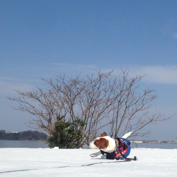 E99191bc fb92 400d ab24 1f855314a3c0 1518773371759