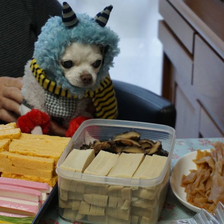 E991e289 68dd 4bc5 8f61 5b55de1bb262 1549154653442