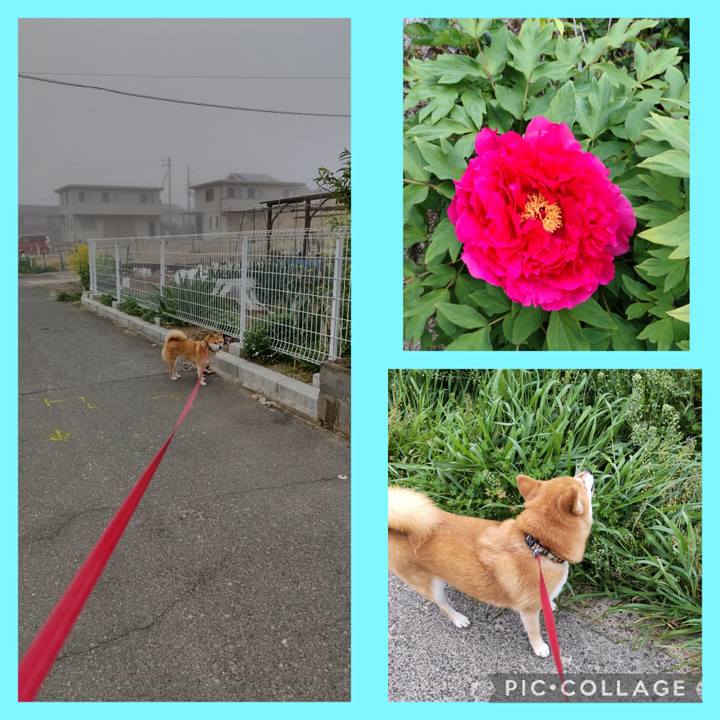 E991f2c0 bed4 4e82 9911 7f00a39ca0b3 1745016644174