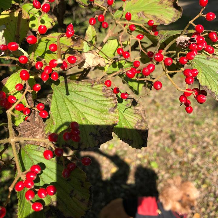 E99201f0 3077 49c8 93f4 dccde8db6ab1 1603152802042