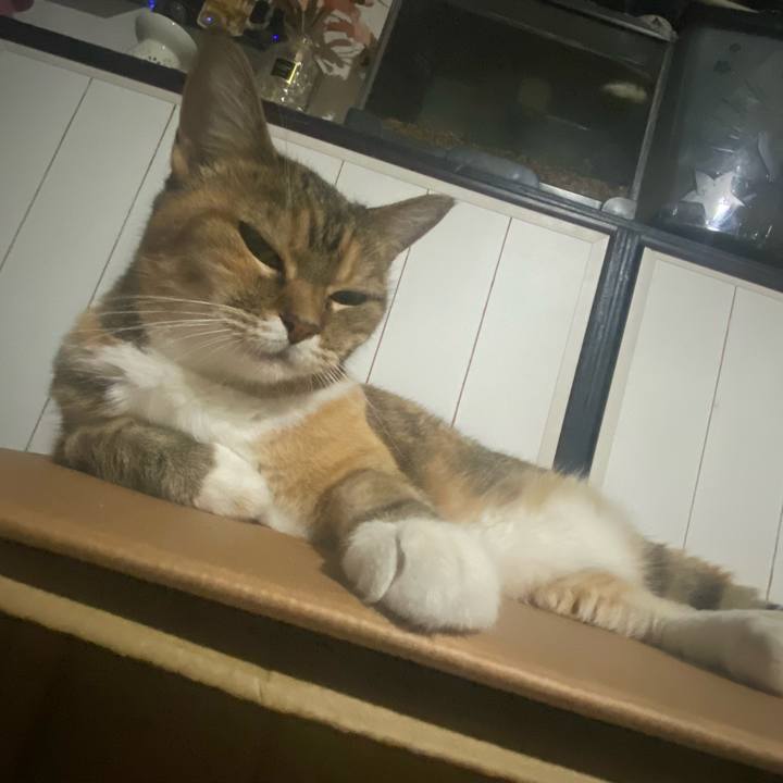 E9920e04 a160 4016 a473 201e2423caa3 1723889235753