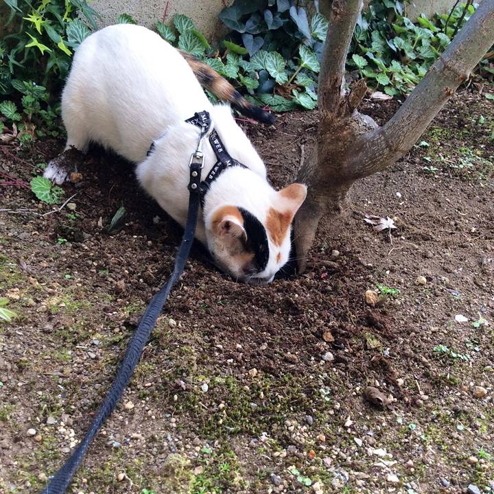 E9923cdb face 4ecb 84d5 1fe3f03b5133 1556423981174