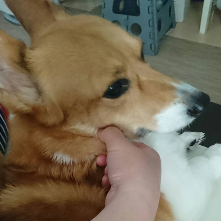 E99268a1 32b7 44c7 9f84 96557a3cc2c2 1555386203576