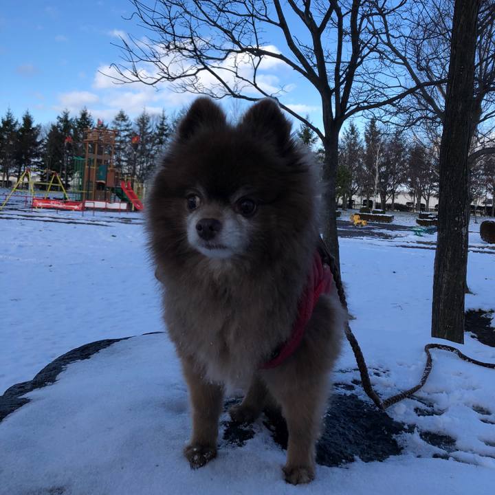 E9927837 da92 4c2f b6c4 afa7648af543 1639451397352