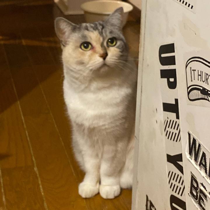 E992c91a 00be 4735 ac5d 3a5839e4af1b 1669805272175