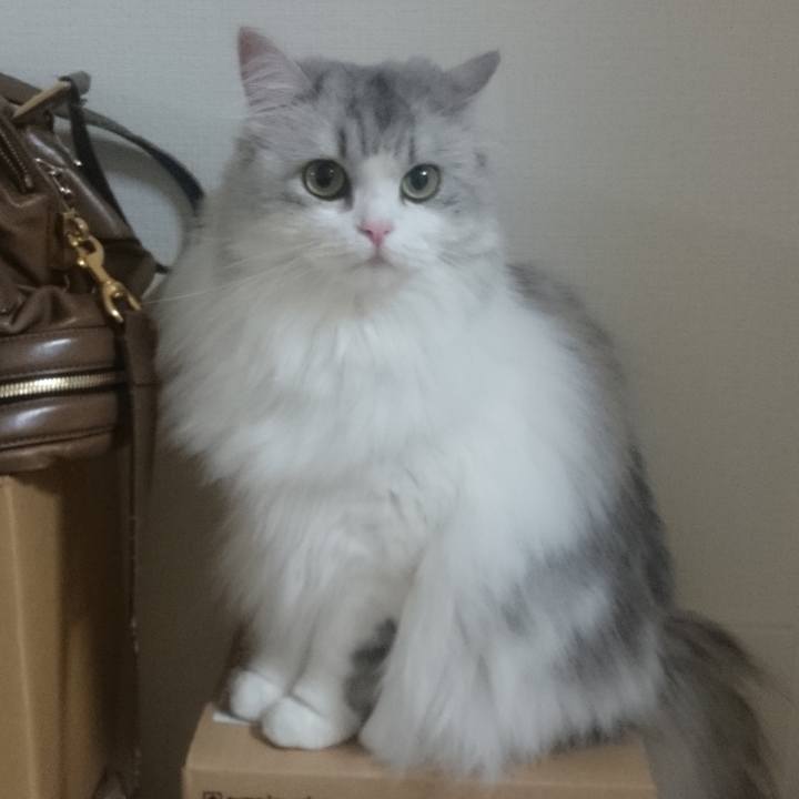 E992d898 54c8 4e21 bc26 b23a28abbb81 1541258182062