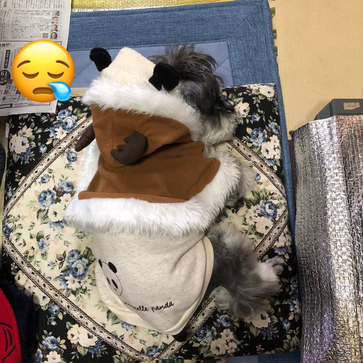 E99312c8 0159 42de bc04 0afb73a1dd1b 1671971230899