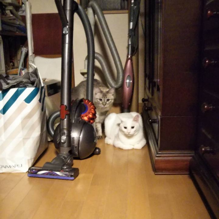 E9932e15 0ed4 47c0 9a4e d690ba850e30 1536322248936