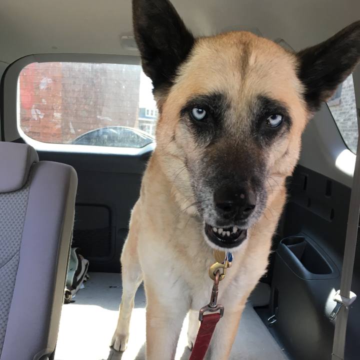 E9936df6 a7b0 4678 afe6 1dfbe2bd9585 1523414971398