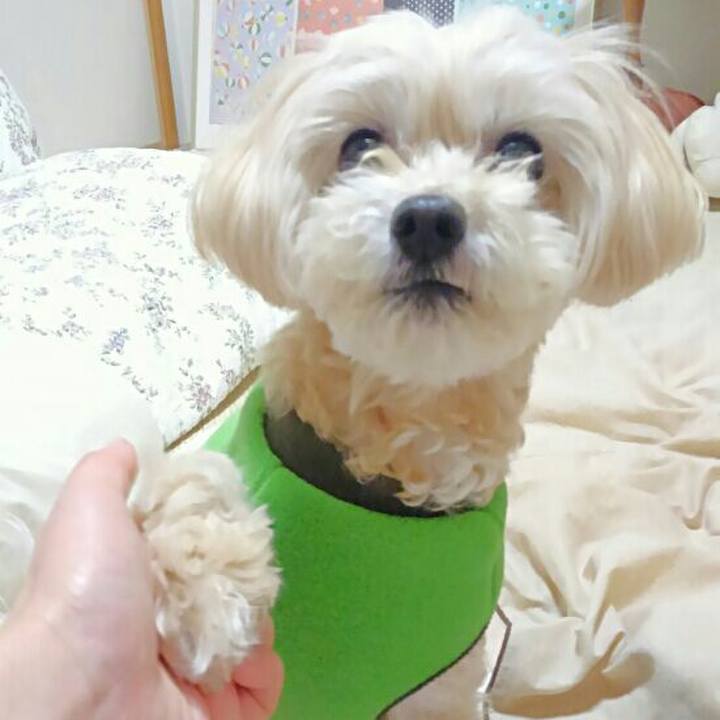 E9937723 5052 4cb1 b335 e68ef6ea0d42 1551532979532