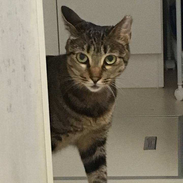 E99397a7 2576 48d0 9d40 d43bb2579050 1535261568727