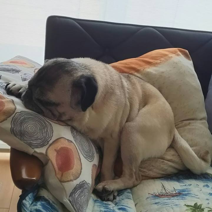 E9939bae db39 4e01 9d56 77ca28d2a046 1533345662043