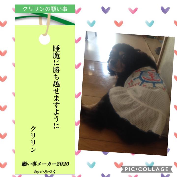 E993a696 4cec 45f9 a738 16bac2f0c446 1594109377662