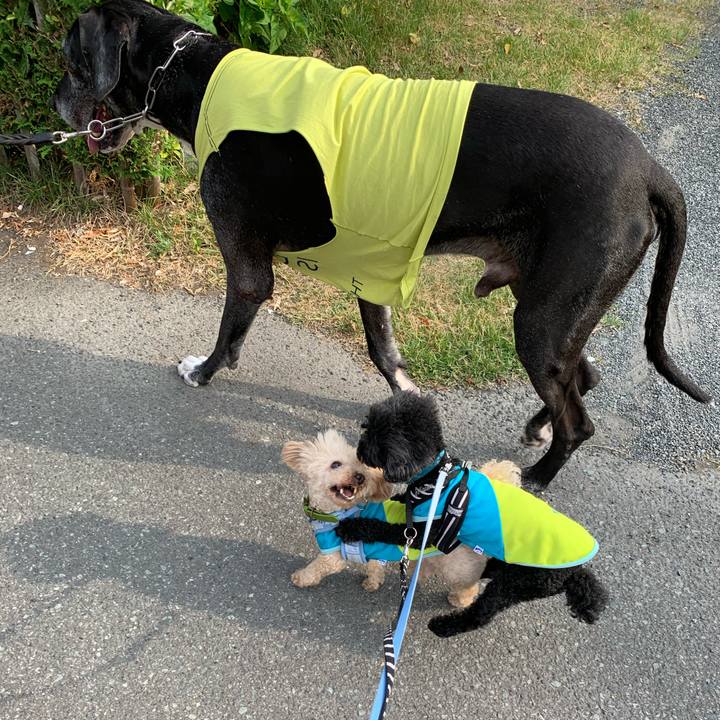 E993be04 26ac 4bfe a96b 90c8af577050 1591484200210