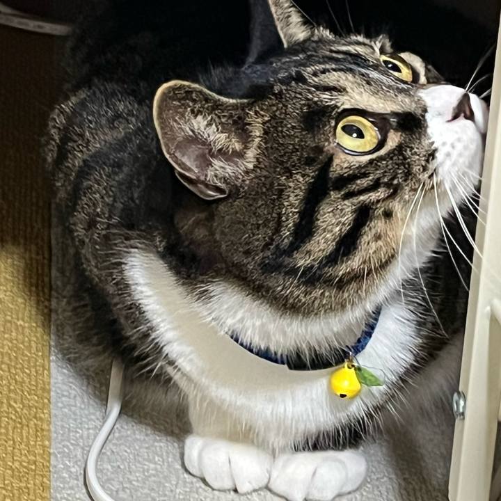 E9941770 7693 4305 83b8 5104650ed59c 1763594473618