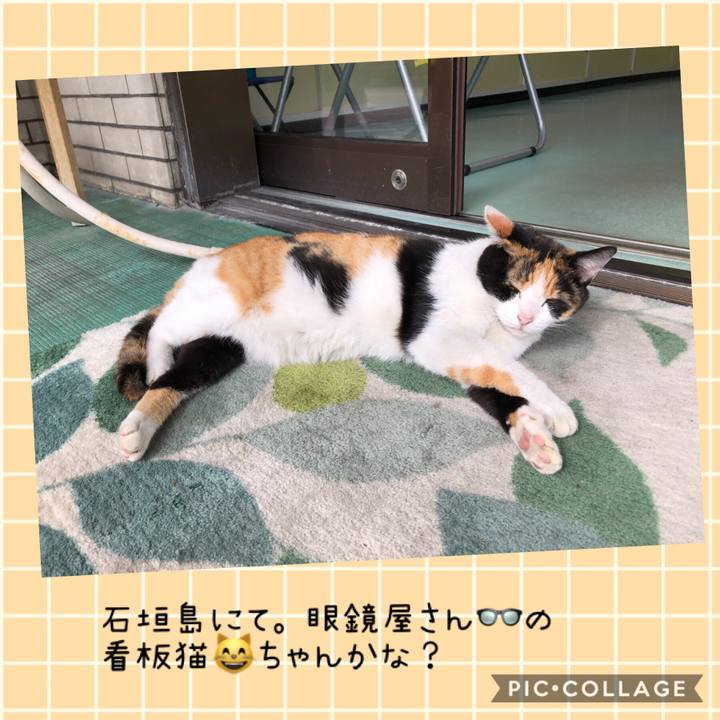 E994436f 5aa3 499d 8e0e 593c1320365b 1543898789885