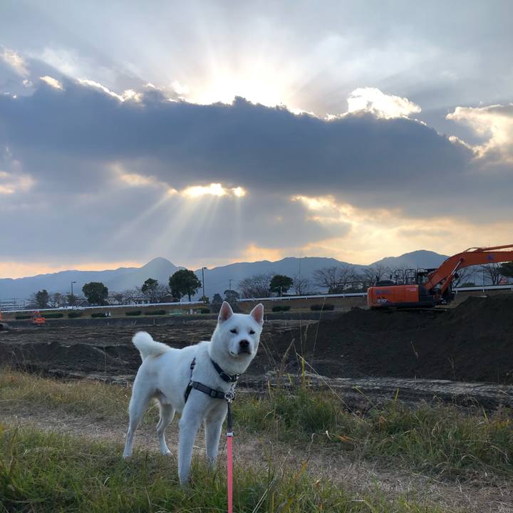 E9947e09 b574 4d9b 8a5d 5237f609bcf5 1547969034281