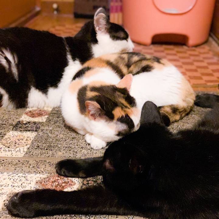 E9947f44 fb82 4f72 b930 d2b1949fd7f2 1564013702629