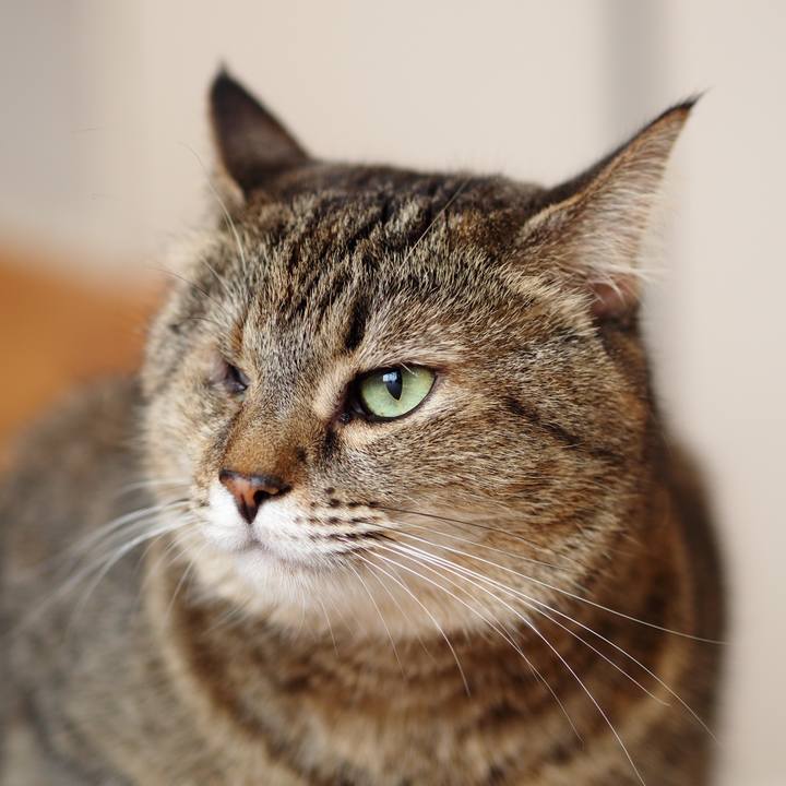 E994b1ef 1f60 4c9a a1ce bdb2ccbcc44b 1569240967494