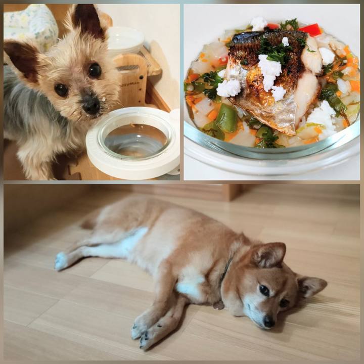 E994f336 9a01 4e70 af3b e58067416a65 1653018343374