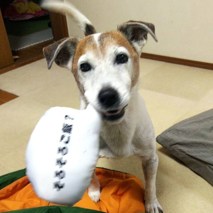 E994f8dd a912 4657 b53e 698cbdad384b 1573974632432