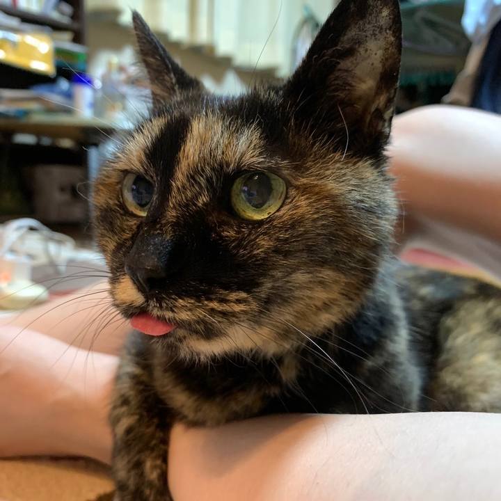 E994ff97 926a 4886 aaf2 7a1ddf6f1907 1653570638087