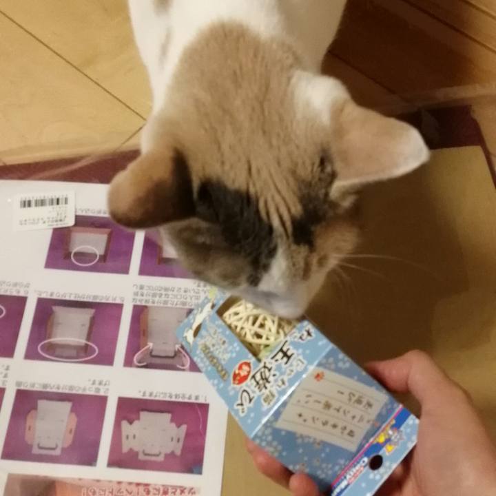 E9952bb9 a05a 4cf2 b277 7e05a44faf82 1542199657483