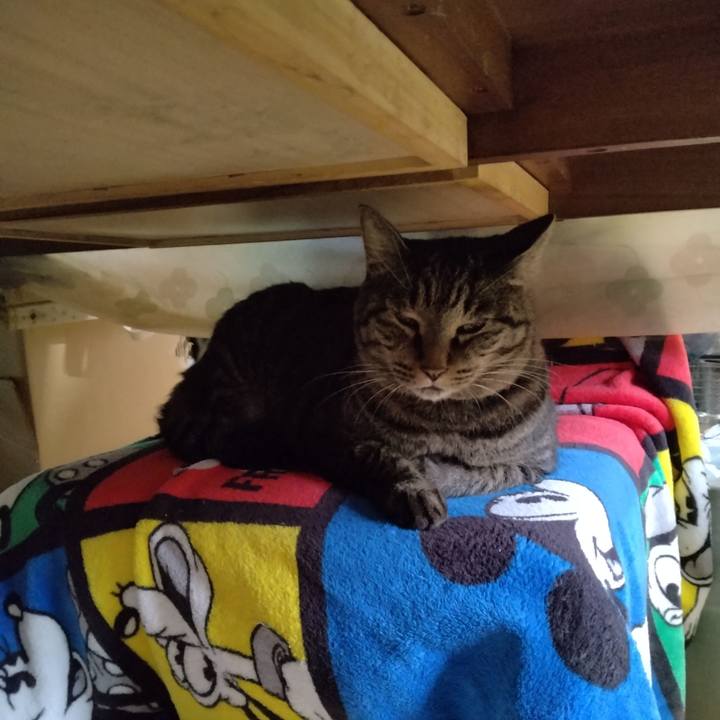 E9956c6a a8af 4e7f a486 1f0d9c84afa5 1664497626662