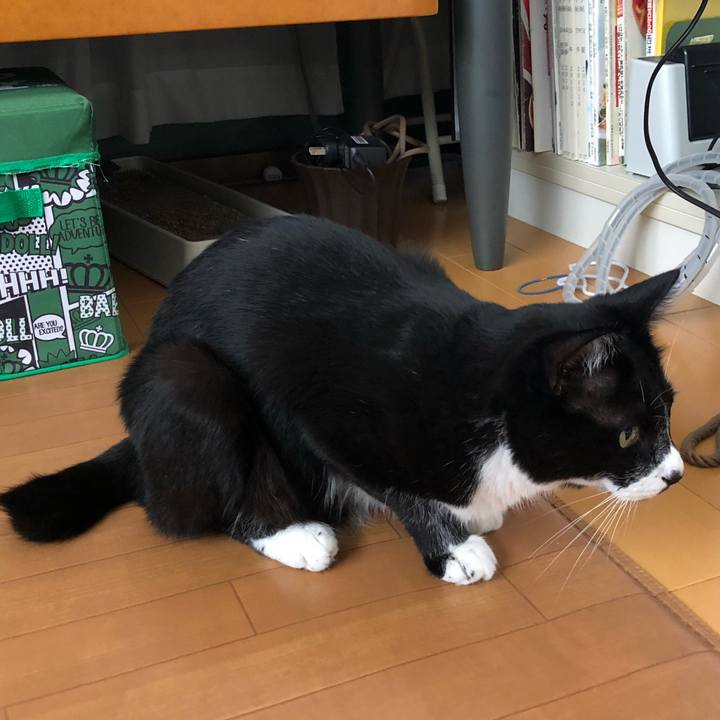 E995830b e22f 4031 87d1 ea538ad00260 1600053978771