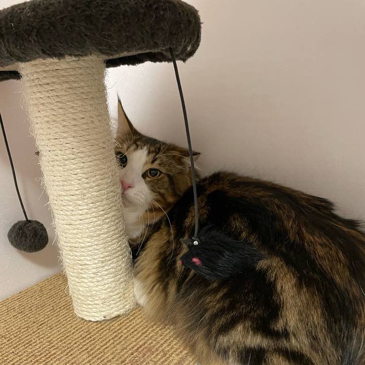 E995a247 0837 4b88 a86f d7a7adbfb7ef 1648845560465