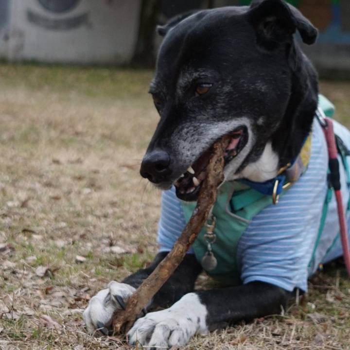 E995a947 5e62 4d7b 8515 0caeb4be2609 1771549653708