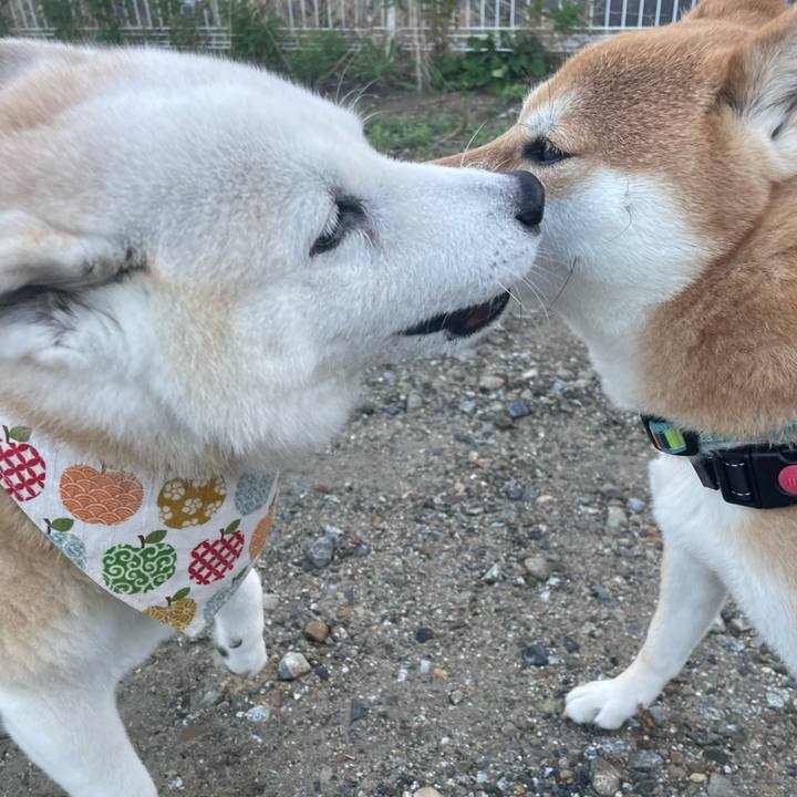 E995be56 b2ff 4314 9be4 cf04118e1578 1668473563855