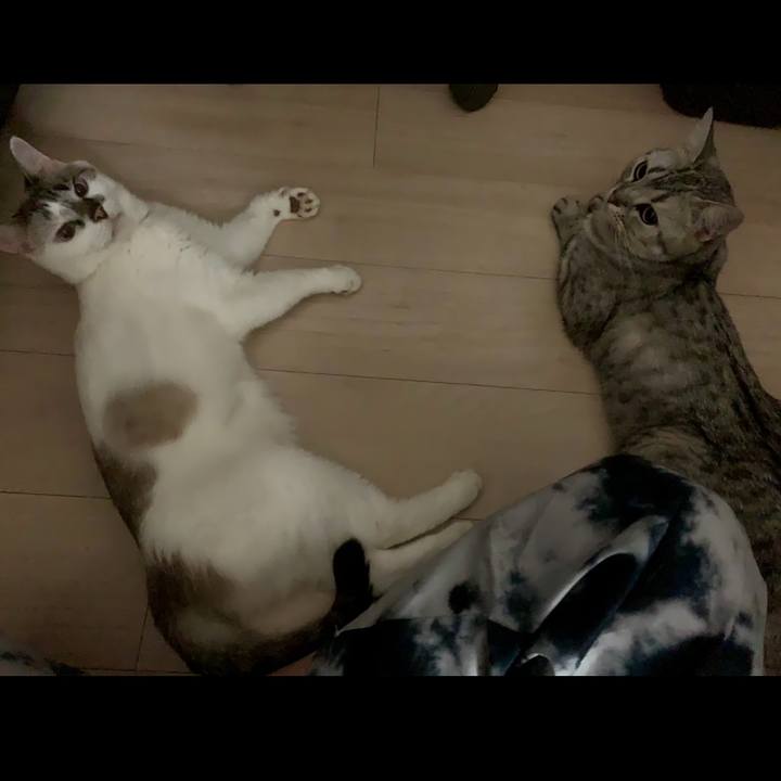 E995d564 68e0 42fc 9dd7 3b8f11c7ffa4 1624228965303