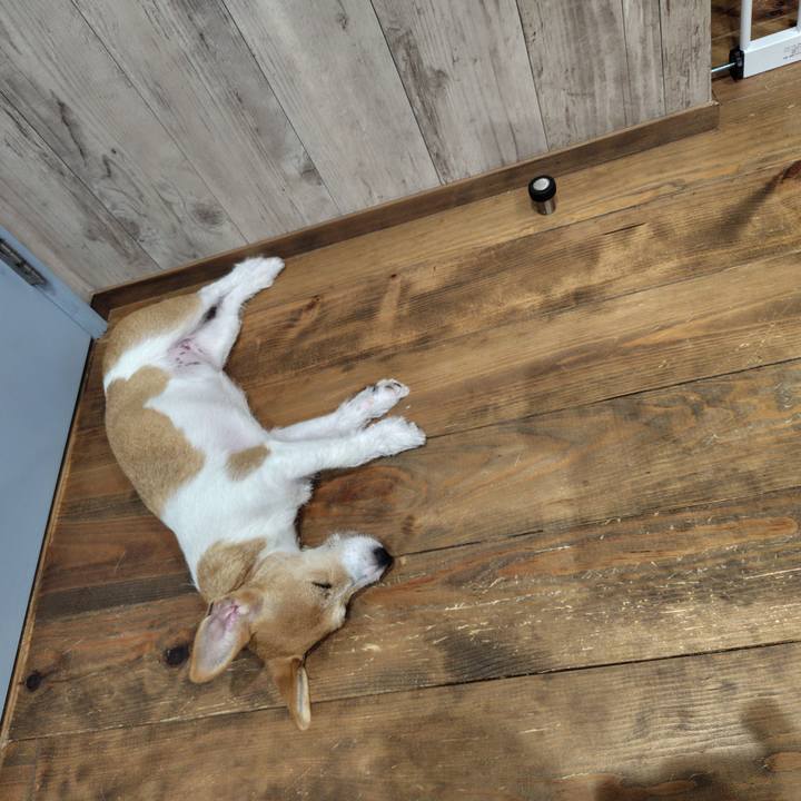 E995de57 485f 49af bc25 54034ca09cf2 1718457215302