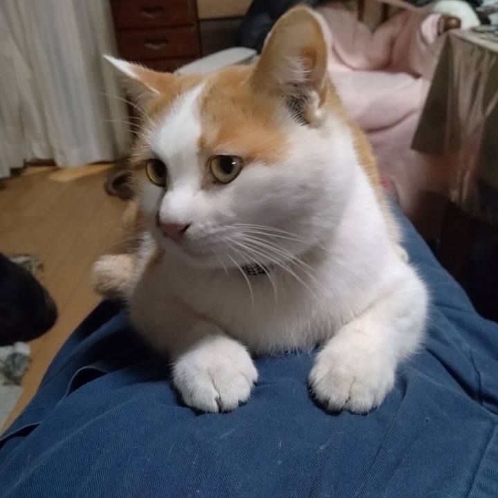 E9961991 d648 4fa6 acdd e29f080b627f 1766915695095