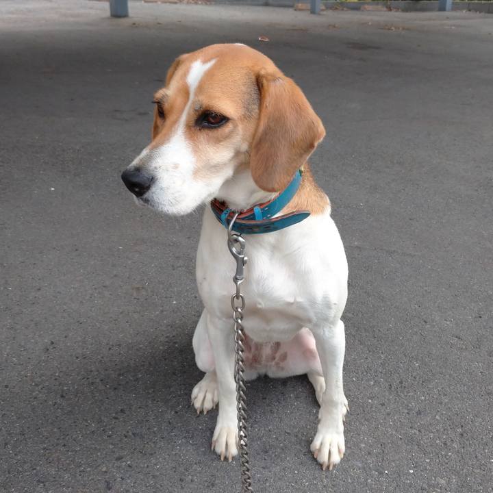 E9961d89 0d82 4e10 8fc8 7ba9738fac61 1603977020123