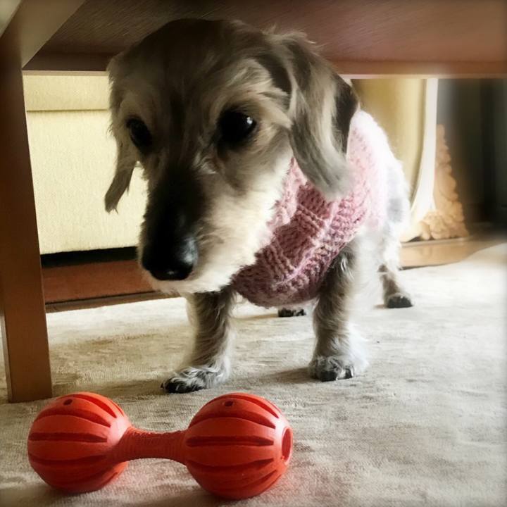 E9963191 1824 430a a134 32d0c1da964e 1515628590359