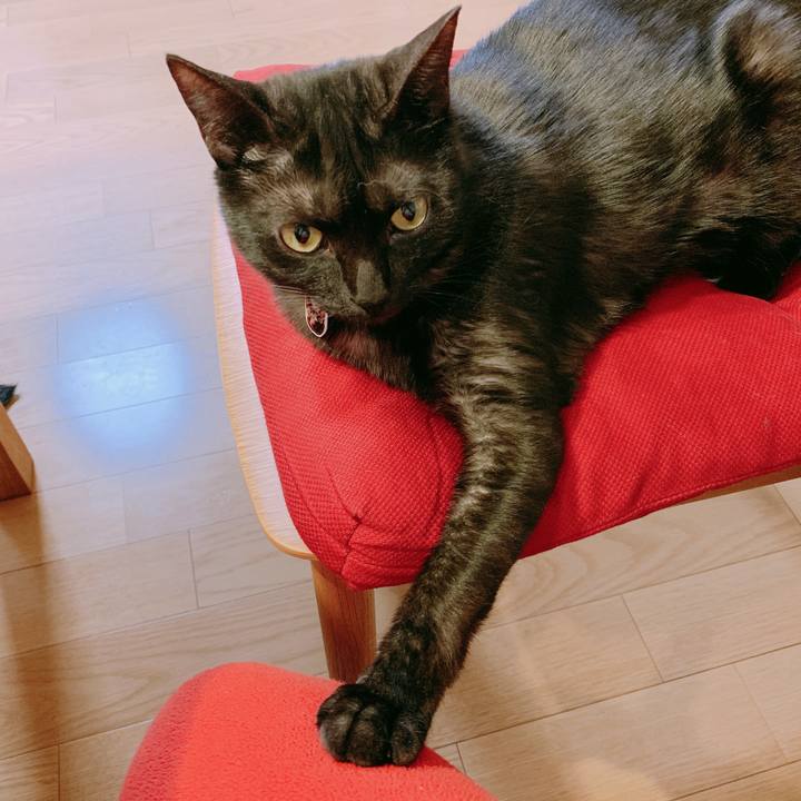 E9965470 017d 475a b744 c6acf1875870 1553688357736