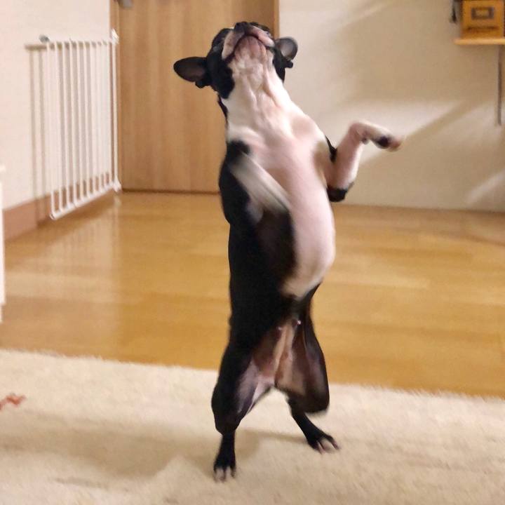 E9965bec 2887 4d38 80b2 fdab94379512 1520215432648