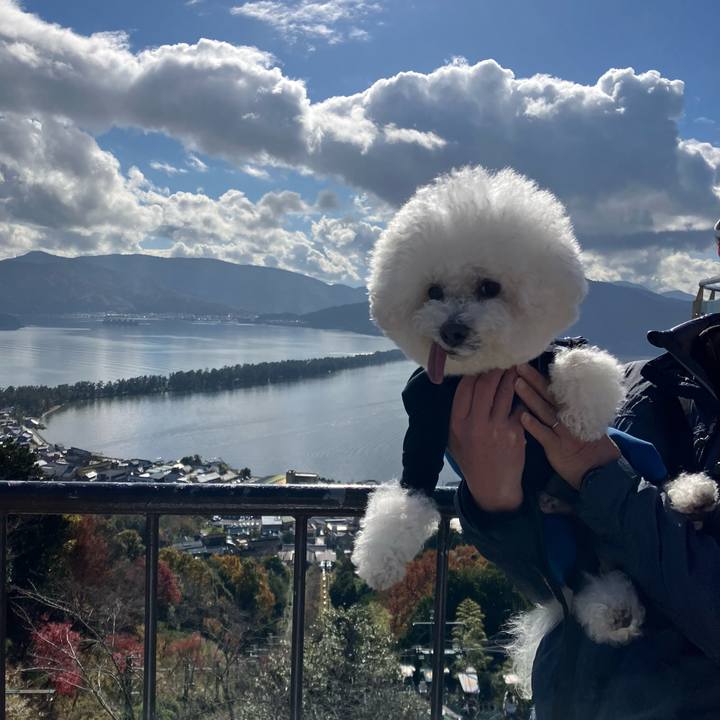 E996d69f 3c2c 4743 965b 2b846b233805 1764418003491