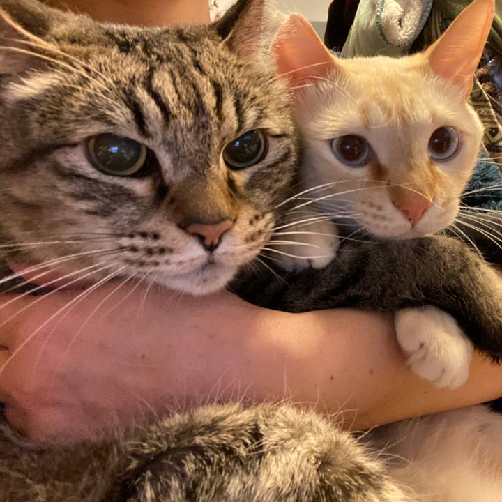 E9972dc0 07d6 4413 8120 2740dce92d7f 1697356292156