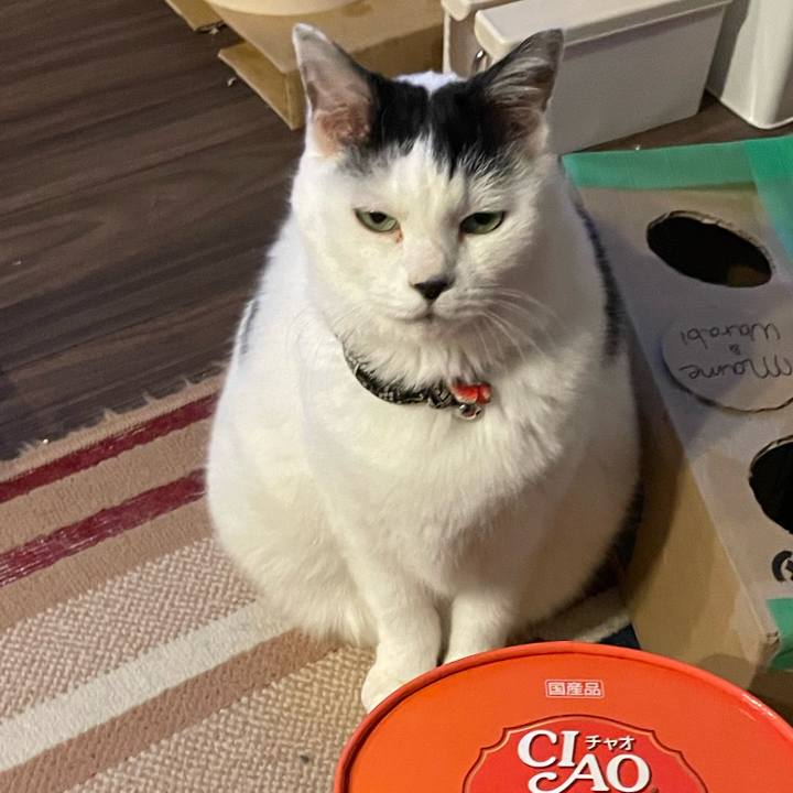 E99738c1 77b0 405e 9831 2a8054700aa4 1735225094630