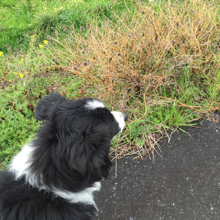 E9974fc6 14e2 4891 9ff2 4987965be868 1551395809981