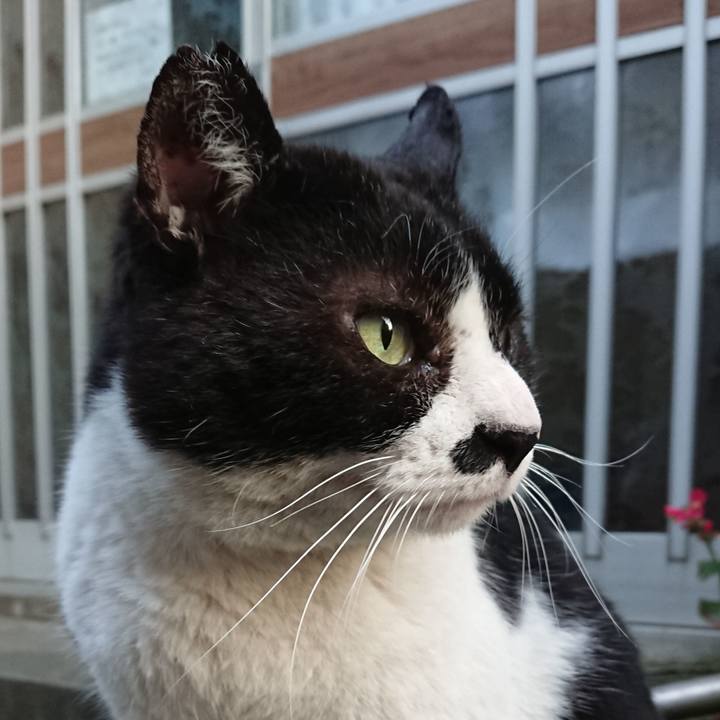 E99758c1 7a51 48af a7de 1c7056953aec 1557218441979