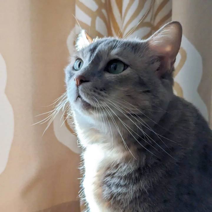 E9976c22 7f08 422a b50e 3ac43afb7984 1698899807519