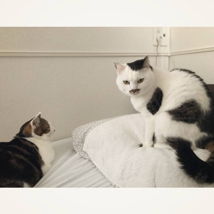 E997705b 6450 4485 9431 dfd134f80241 1553572499005