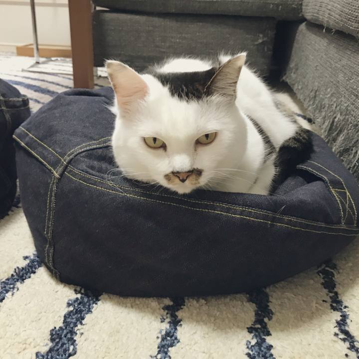 E99794da 1b60 4b7d 98fe 5ce3304879e5 1537149558091