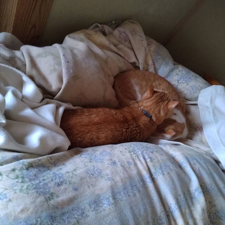 E997c60b f783 4de4 bcb2 7b59045d0bc6 1770378060378